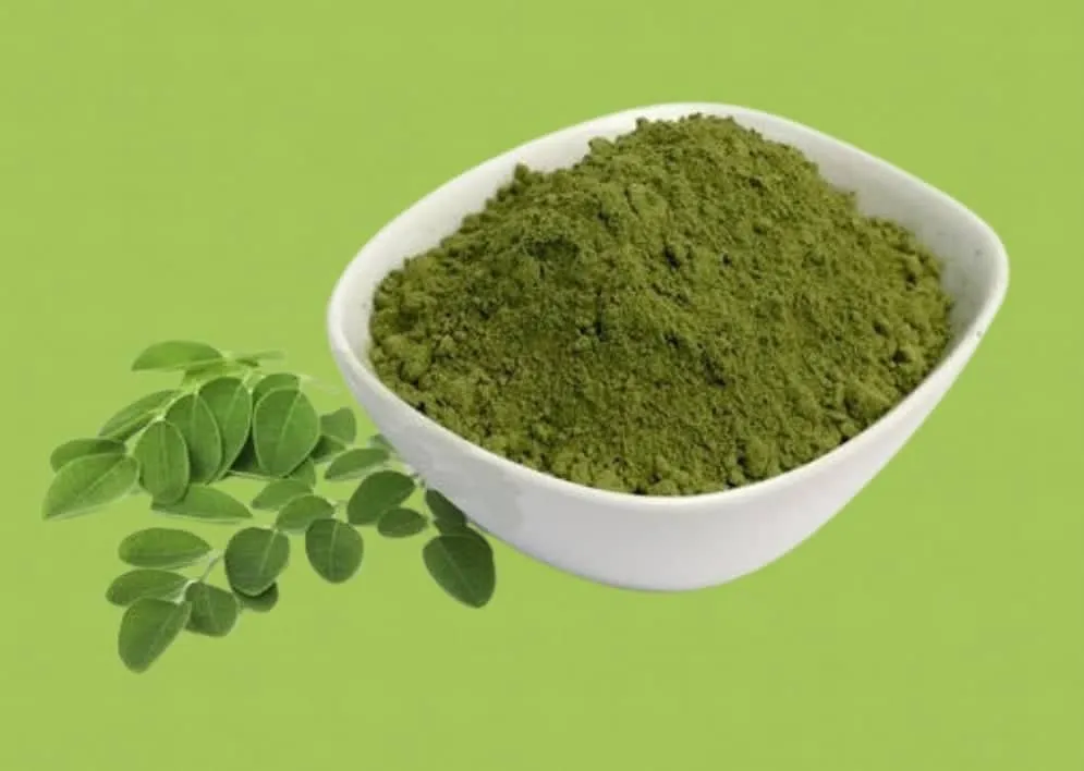 সজনে পাতার গুঁড়া (৫০০ গ্রাম) Moringa Powder - Image 2