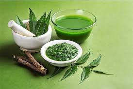 নিম পাতার গুঁড়া (১০০ গ্রাম) Neem leaf powder - Image 3